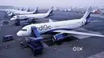 NOW HIRING 2023 FOR INDIGO AIRLINES PVT LTD COMPANY IN NEARBY AIRPORTS