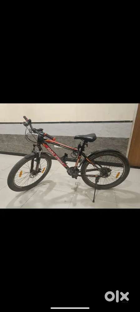 Raleigh cycle