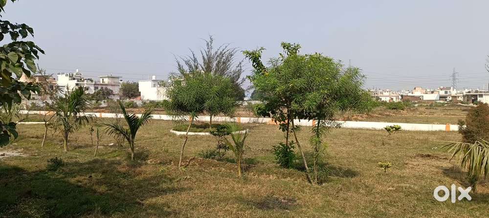 Sale ke liye Plot Available 145 Gaj