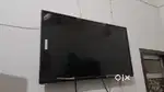 led pagaria company
