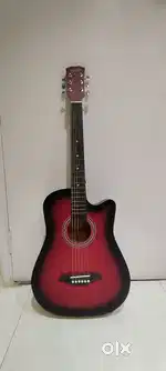 Dolphin Acoustic Guitar, Model - DT-1CRSB
