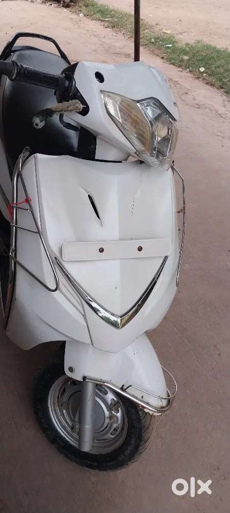 Condition fresh