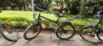 Cycle for sale