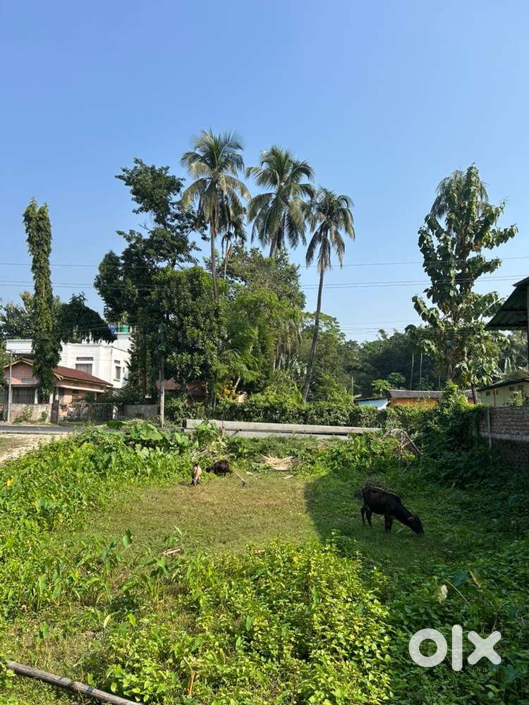 1.5 kotha land at main road , hajo nalbari road