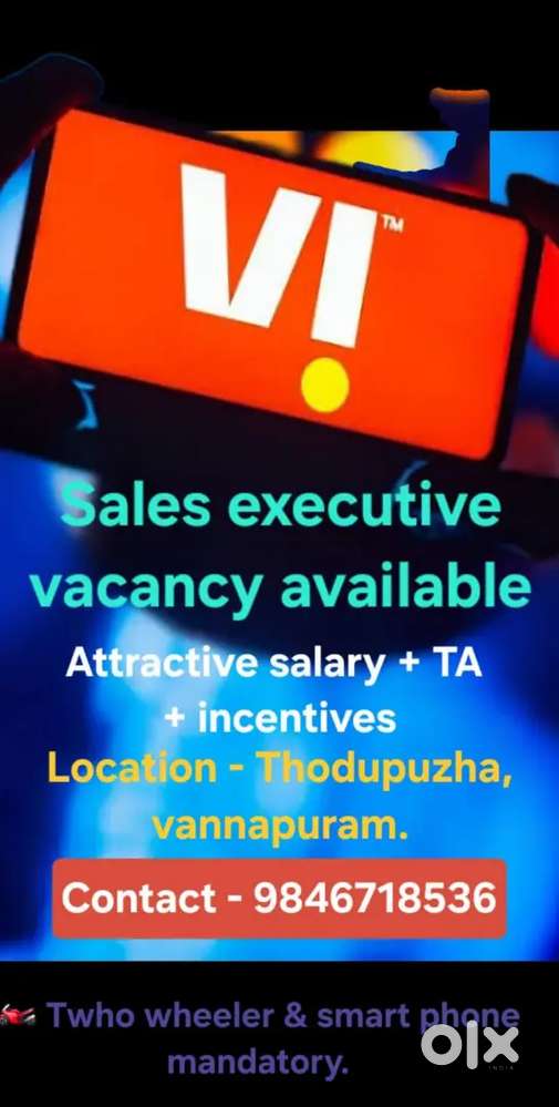 Sales executive