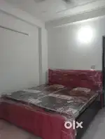 1bhk full furnished flat for rent in chattarpur