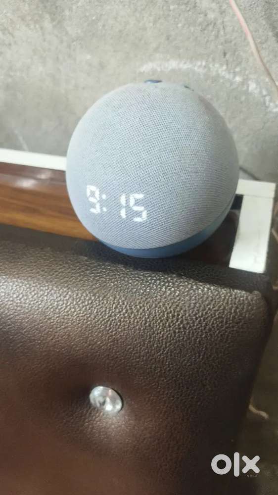 Echo dot  alexa