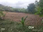 Land for sale 1 sent fixed  30,000 available 2 acre