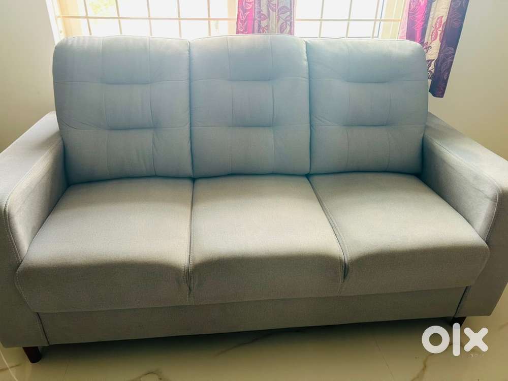 Only 1 month used sofa
