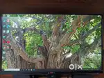 Desktop Computer