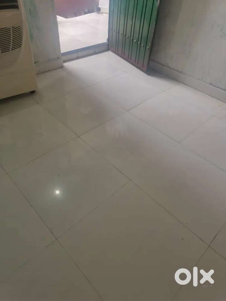 Roma available for rent