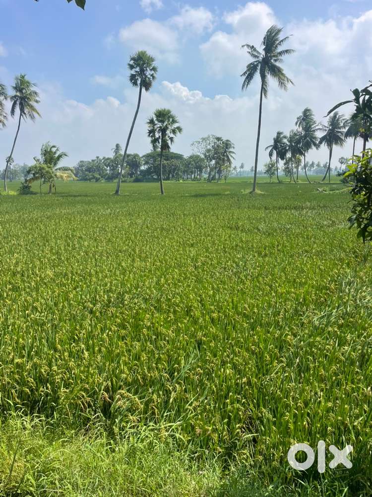 2.15 acres land for sale, Golapalam