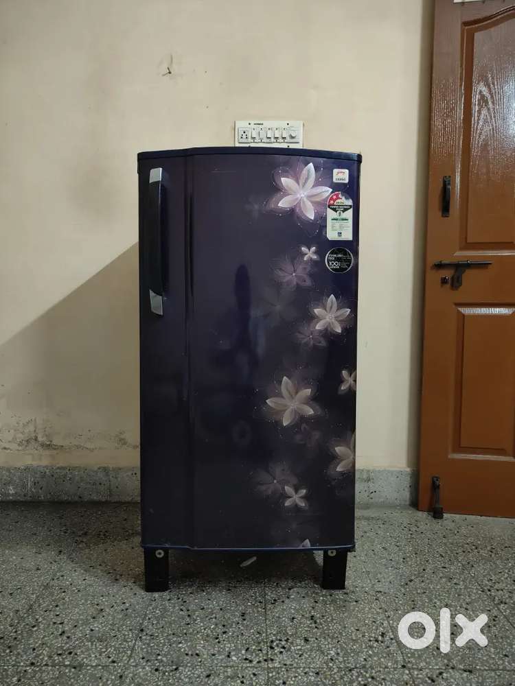 Refrigerator (fridge)