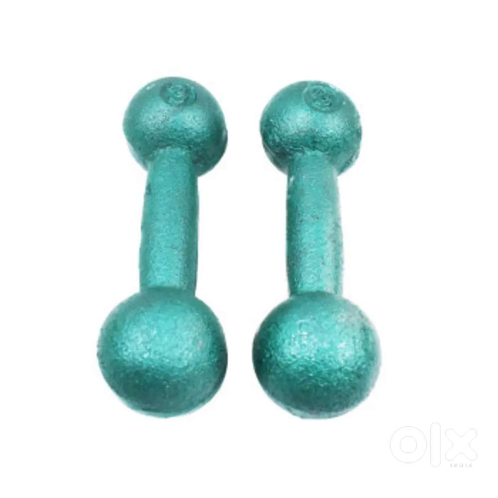 4 kg Iron Dumbbell set
