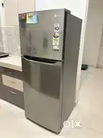 LG 242 L 2 Star Frost-Free Smart Inverter Double Door Refrigerator
