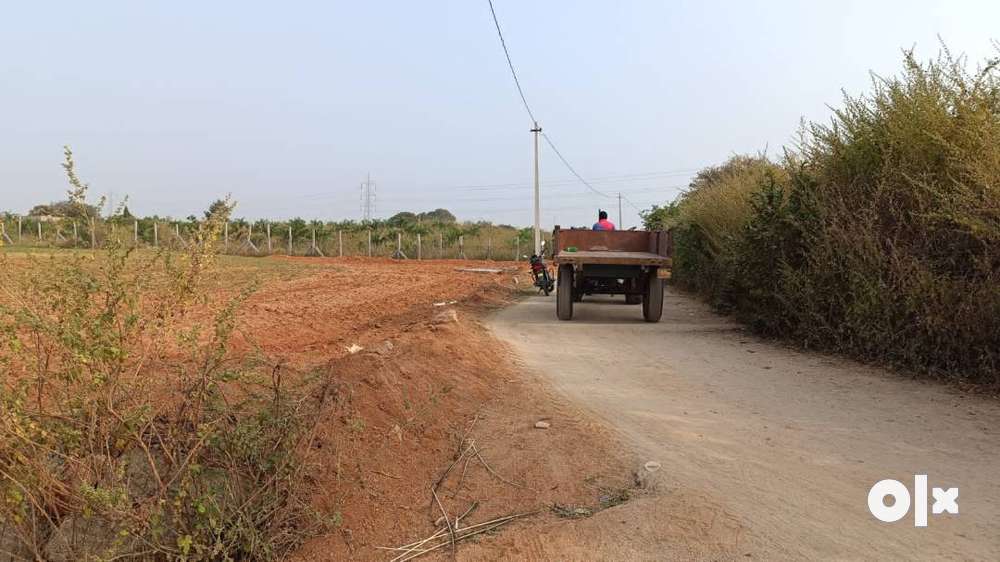 1Acre Agri land for sale,3km frm Siddipet-Warangal Highway,BT road BIT