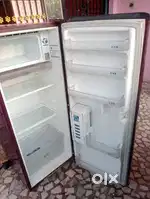 Fridge sals