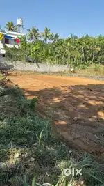 Nedumbassery near mekkad Chempannoor 8 cent land for sale