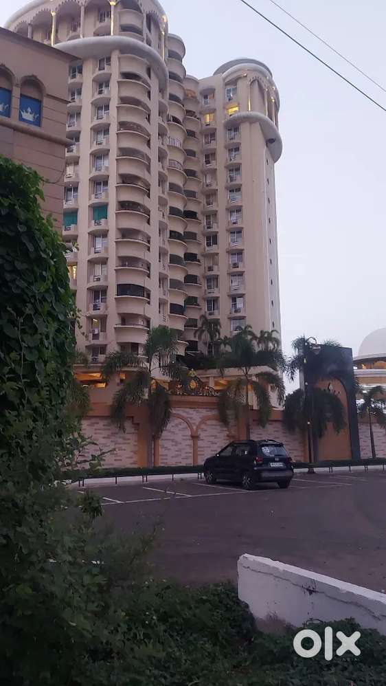 Gammon India ,new market