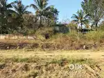 Site for sale