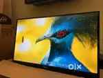 50 inch 23999 aadi spl offer price led tv all size available wholesale