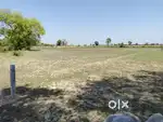 1 Bigha Onroad Agricultural Land on Agra- Jagner Road Kheragarh