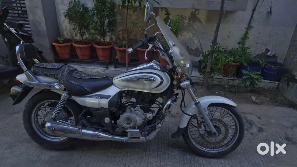 Classic Cruise 220