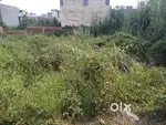 256 Gaj Plot in Gopal Vihar Near by Subharti Medical College
