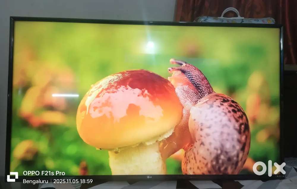 LG 55INC 4K SMART TV