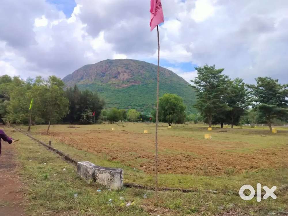 Bhogapuram International Airport Opp