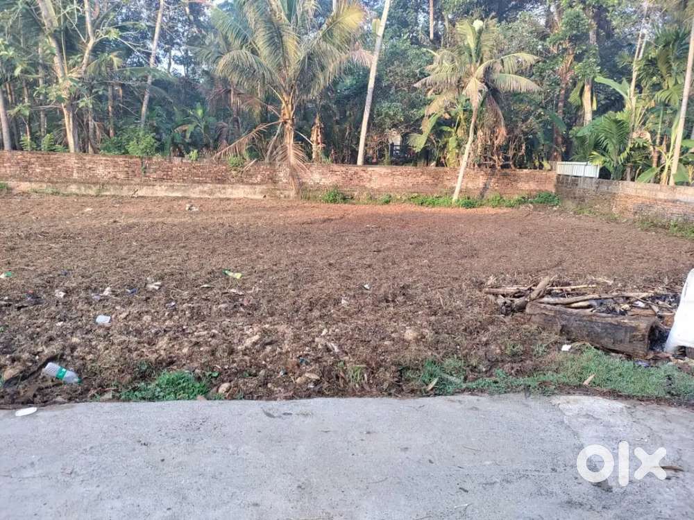 Plot for sale near railway station karunagappally