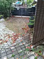 Thonnakkel