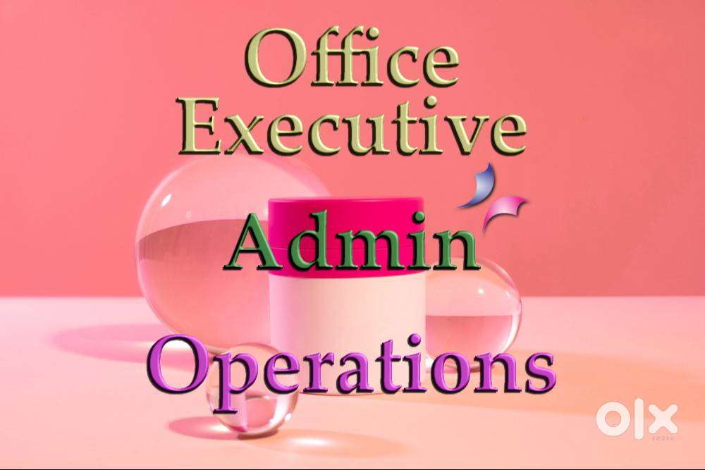 BackOffice Operations Executive, Office Stadd