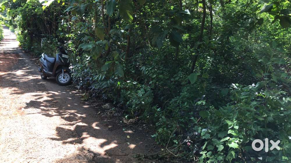 6 cent for sale in thottada kizhunna