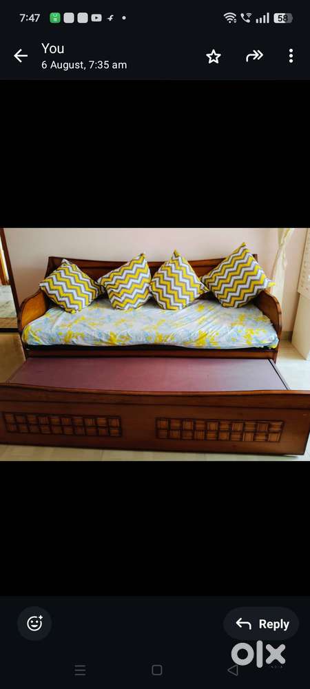 Sofa cum bed (wooden) + 2 chair