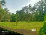 KAKKANAD KANGARAPPADY 12 CENTS HOUSE PLOTS FOR SALE.