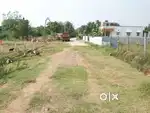Resale Plot 3150 sqft Plot Sale @ SP Kovil DTCP Approved 30ft Rd North