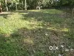 13 cent land for sale near tecnopark