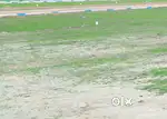 Beach Resort plot Sale