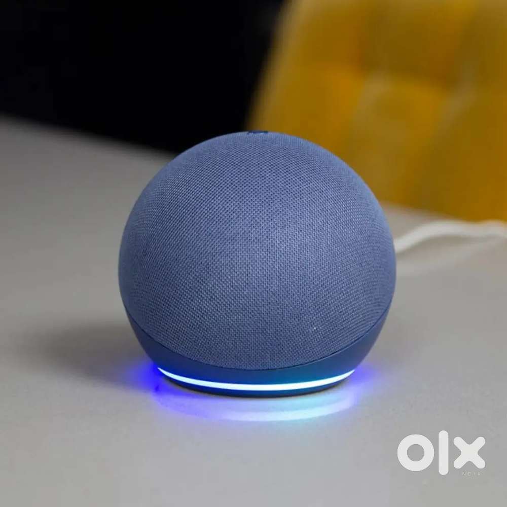 Alexa Echo Dot