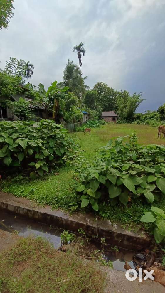 9 gonda plot on sale