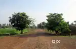 VUDA Approved Housing Plots : Paravada