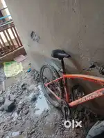 Kross maximus pro