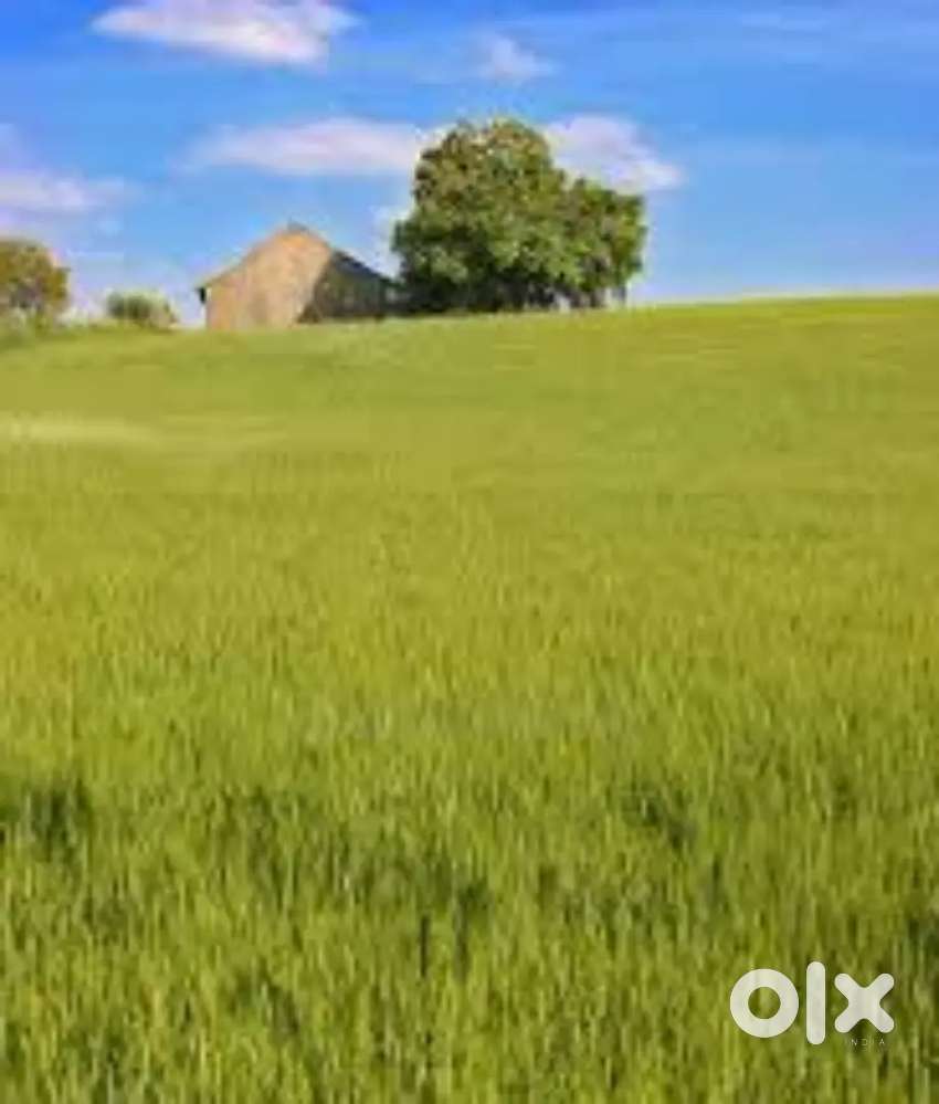 30 Decimal Plot for sale