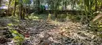 7  CENT PRIME RESIDENTIAL PLOT FOR SALE NEAR KUMARAPURAM