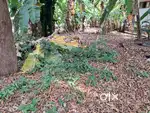 5.5 cents of Prime Residential Property near Palarivattom
