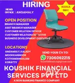 GOLD LOAN BUSINESS DEVELOPEMENT MANAGER OR EXECUTIVE