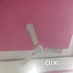 Havells ceiling i fan