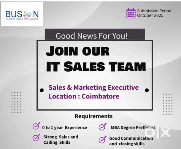 Sales and Marketing Executive