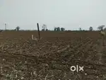 **4-ACRE AGRICULTURAL LAND FOR SALE**  AT DHOTRA